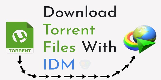 How to Download IDM Torrent Files